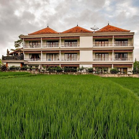 Paon Desa Ubud 外观 照片