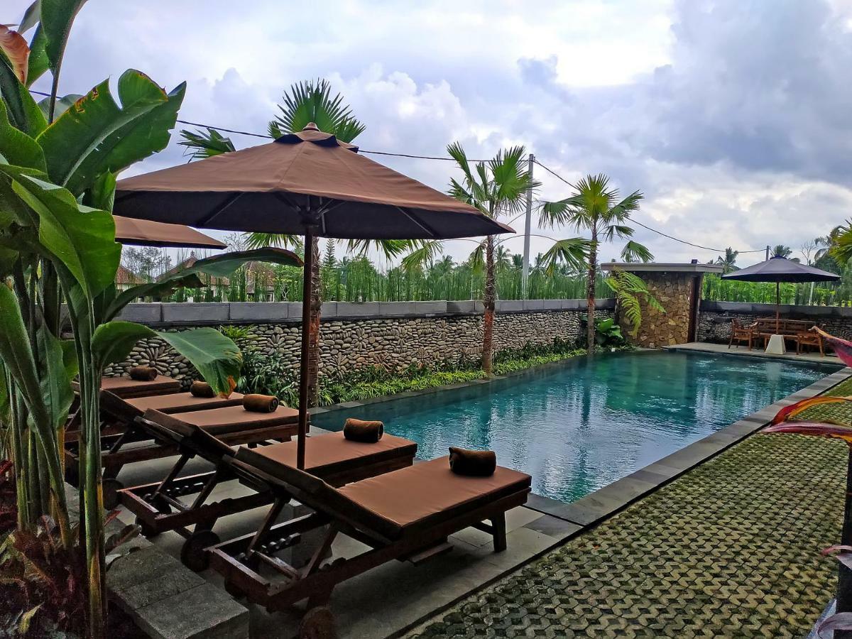 Paon Desa Ubud 外观 照片